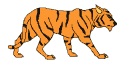 take the tiger tour
